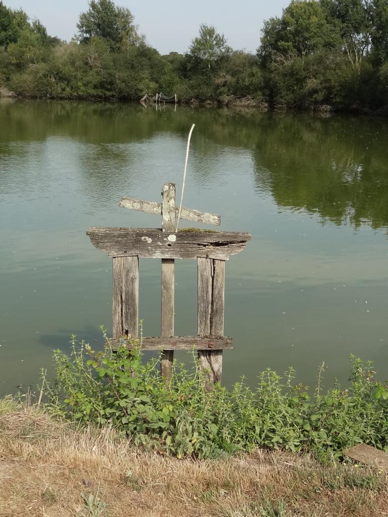 DSC04537