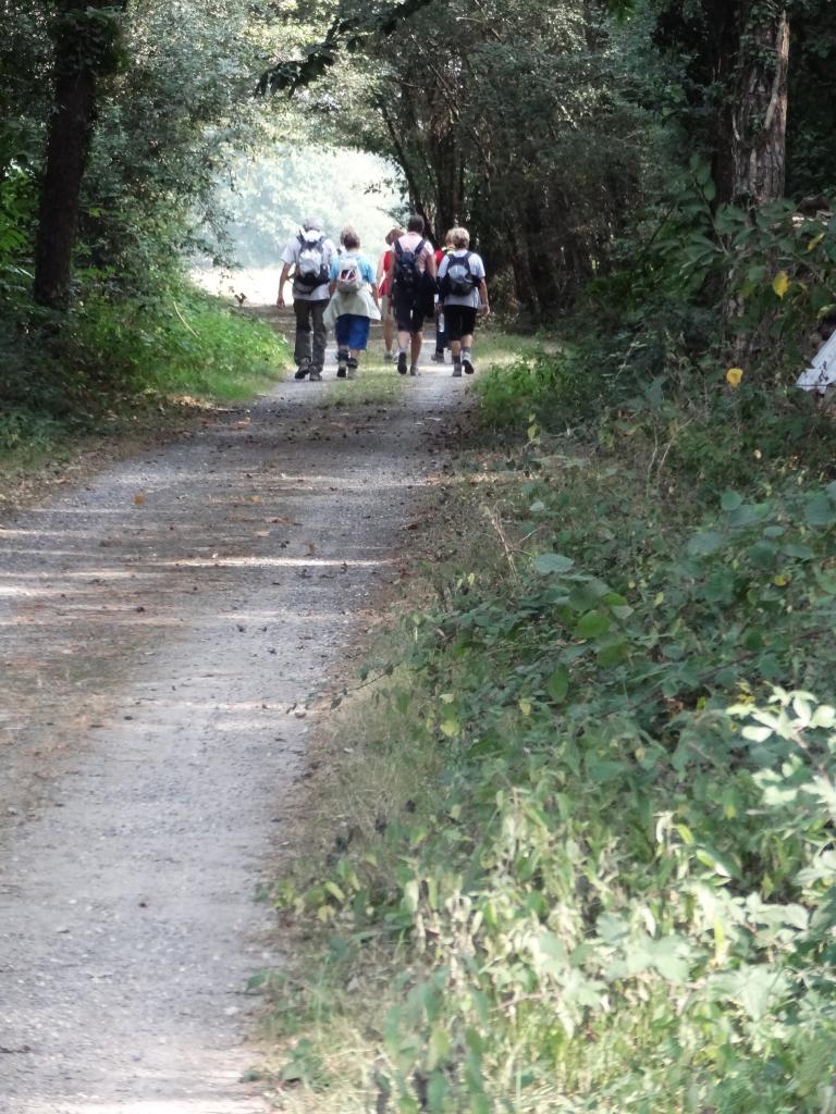 DSC04539