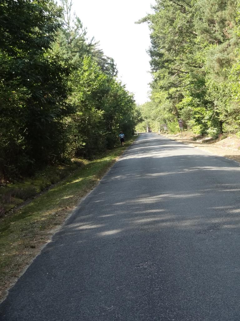 DSC04551